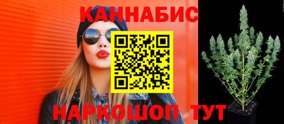 стаф Ливны