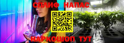 стаф Ливны