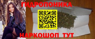 стаф Ливны
