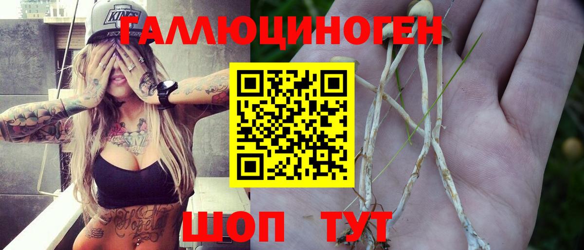 Псилоцибиновые грибы Psilocybe  Вход с VPN  Галлюциногенные грибы мицелий  наркота  Ивантеевка 